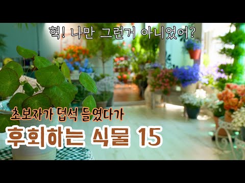 Видео: [4K] 15 растений, которые не стоит выращивать в помещении