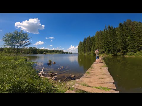 Видео: Карагай - История одного снимка