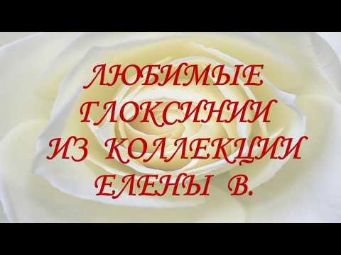 Видео: Очень красивые сорта махровых глоксиний. Любимые глоксинии из коллекции Елены В.