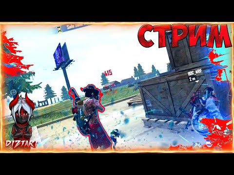 Видео: СТРИМ ФРИ ФАЕР FREE FIRE! КОМНАТЫ С ПОДПИСЧИКАМИ! ТУРИКИ В ФФ #FreeFire