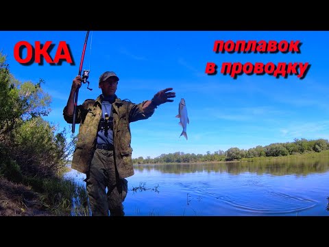 Видео: БАТОН ХЛЕБА и ЗЕМЛЯ. РЫБА КЛЮЁТ ОДНА ЗА ОДНОЙ. Рыбалка на ПОПЛАВОК на ОКЕ.