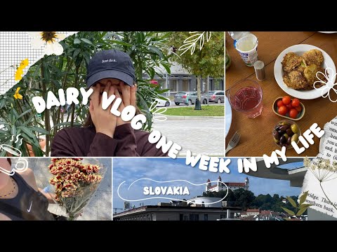 Видео: тиждень студента у словаччині | влог