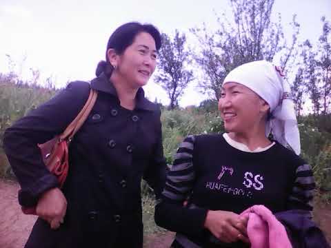 Видео: Толойкон 98