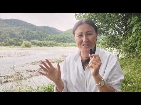 Видео: Почему не работает планирование