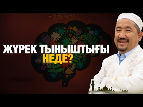 Видео: Жүрек тыныштығы неде ? | Нұрлан имам | Жүрек сөзі