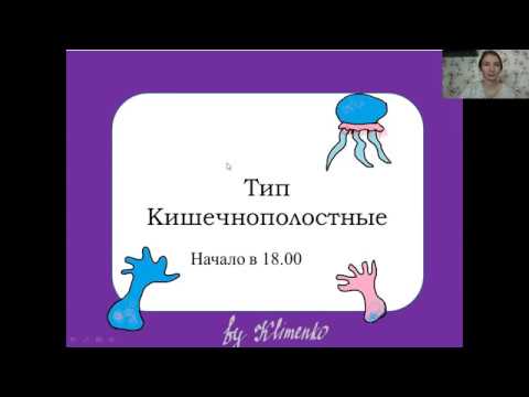 Видео: Тип кишечнополостные