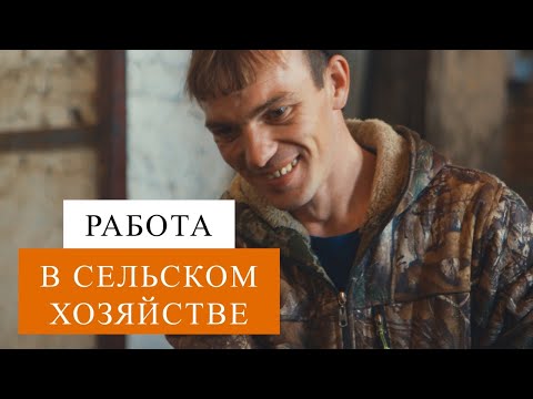 Видео: Хочу в деревню. Документальный фильм о механизаторах и доярках. Сельское хозяйство .Томская область.