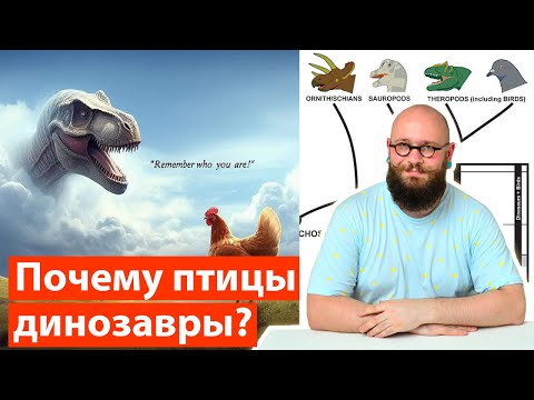 Видео: Почему птицы ‒ ДИНОЗАВРЫ, насекомые ‒ РАКИ, а люди ‒ лопастепёрые РЫБЫ?