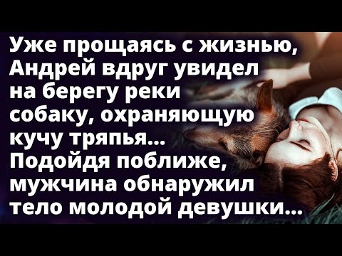 Видео: Андрей увидел на берегу реки собаку, охраняющую кучу тряпья. Подойдя поближе...Любовные истории