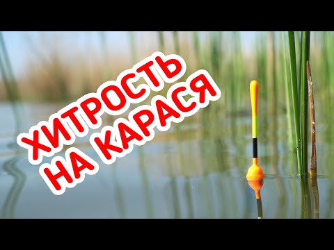 Видео: ХИТРЫЕ КАПЛИ на КАРАСЯ. Рыбалка на поплавок в диком заливе.