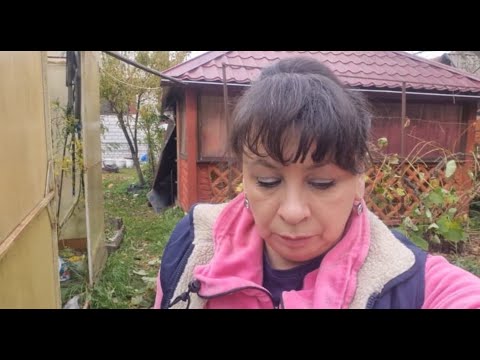 Видео: Как прошли выходные. Навожу порядок в теплицах. Обрезаю виноград. Жизнь семьи в деревне.
