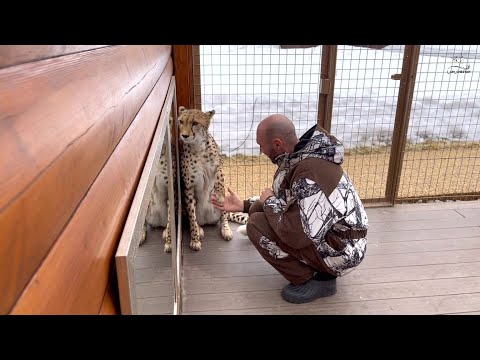 Видео: Герда учится давать лапу!