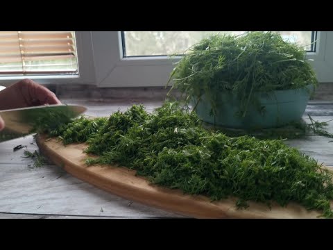 Видео: САМАЯ ЛУЧШАЯ ЗАГОТОВКА СВЕЖЕГО УКРОПА С СОХРАНЕНИЕМ АРОМАТА/УКРОП + СЛИВОЧНОЕ МАСЛО ЭТО ОЧЕНЬ ВКУСНО