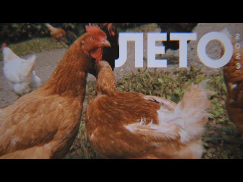 Видео: лето 2023 | деревенские будни, утиные эксперименты и музыка на кассетах | приморье #2