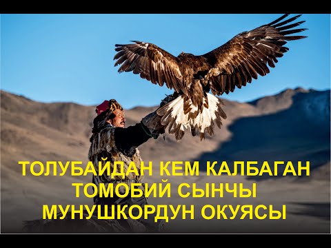 Видео: ТОЛУБАЙДАН КАЛЫШПАГАН ТОМОБИЙ СЫНЧЫ МУНУШКОР ЖАНА ЛЕГЕНДАРЛУУ БУРКУТУ МЕНЕН БОЛГОН ОКУЯ