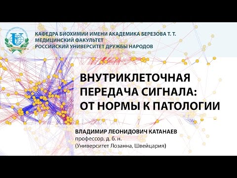 Видео: Лекция - Профессор Катанаев В.Л. - Внутриклеточная передача сигнала: от нормы к патологии