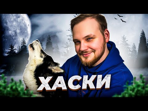 Видео: ЛЕГКО ЛИ ЖИТЬ В КВАРТИРЕ С ХАСКИ? | ВСЕ ПРО ПОРОДУ ХАСКИ |РЕАЛЬНЫЙ ОПЫТ ВЛАДЕНИЯ