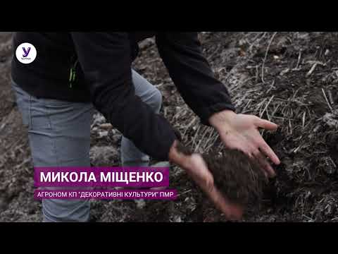 Видео: Як з опалого листя зробити екодобриво