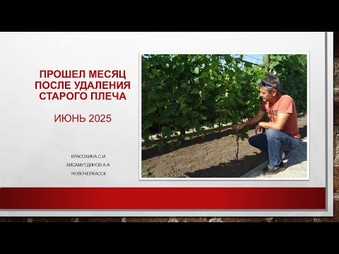 Видео: Прошел месяц после удаления старого плеча кордона @Krasokhina