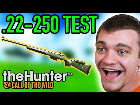 Видео: Я протестировал 22-250 в игре Hunter Call of the Wild!