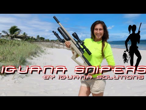 Видео: Игуаны-снайперы: спасение орхидейного дерева с помощью Брокока Сахары, часть вторая