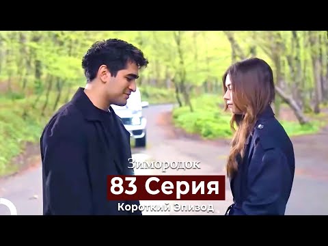 Видео: Зимородок 83 Cерия (Короткий Эпизод) (Русский дубляж)