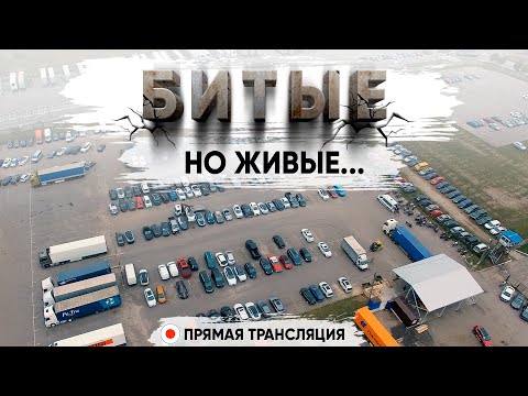 Видео: ЗАПИСЬ СТРИМА 🔴 Обзор битых авто из США! Забираем машины клиентов