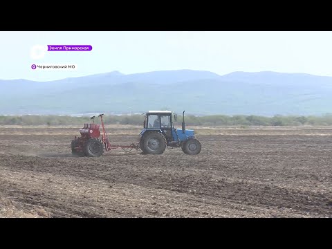 Видео: Земля Приморская / Черниговский район / 08.05.23