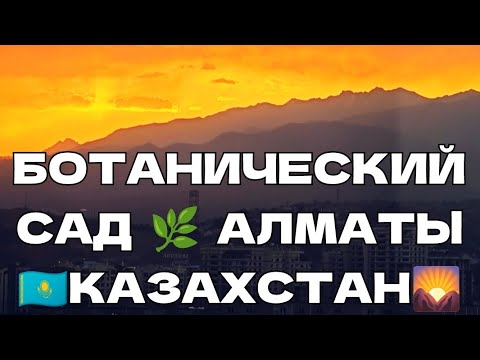 Видео: 12 #🇰🇿 Ботанический Сад 🌿 Алматы 🇰🇿 Казахстан 🌄 Лебеди 🦢 Карпы 🐠 и деревья 🌳🌲