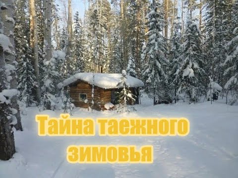 Видео: Тайна таежного зимовья