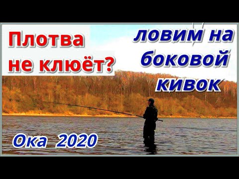 Видео: Ловля ВЕСЕННЕЙ ПЛОТВЫ на ОКЕ. Рыбалка на БОКОВОЙ КИВОК в бесклёвье.