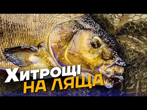 Видео: Як Ловити Ляща?  💯Всі Секрети та Нюанси Фідерної Риболовлі на Ляща: Тактика, Снасті, Підгодовування.