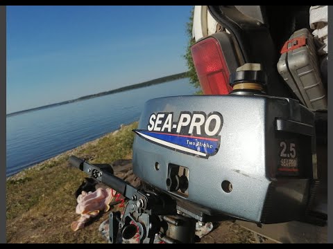 Видео: Лодочный мотор 2.5 л.с. SEA-PRO. Взял не пожалел!!!