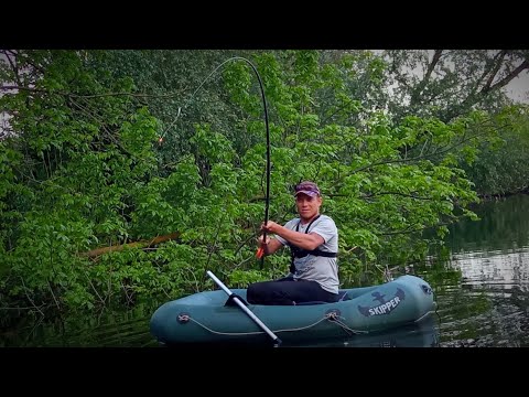 Видео: СЛОНИ В КОРЯЖНИКУ РВУТЬ СНАСТІ. Рибалка на боковий кивок