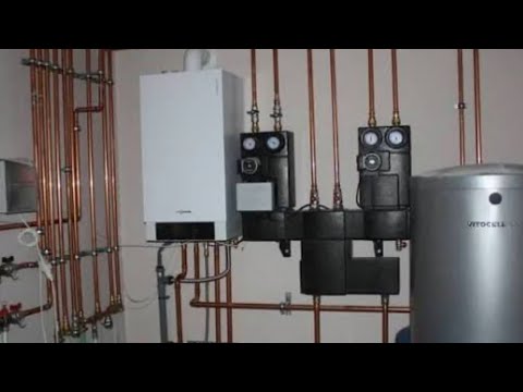 Видео: Бизнес идея 700$ в месяц. Бизнес или гемор в 2025 году