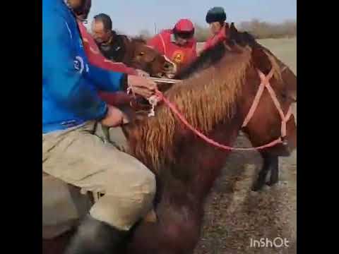 Видео: 15 ноября 2025 г.