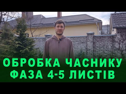 Видео: Обробка часнику у фазі 4-5 листів. Чим підживити, щоб часник не жовтів. Профілактика хвороб