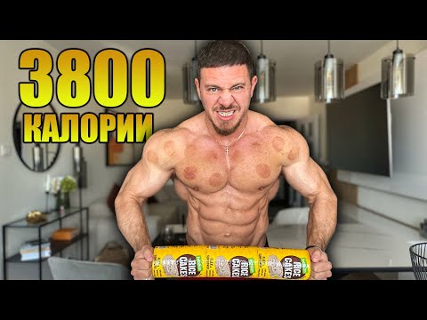 Видео: ХРАНИ СЕ ТАКА В ОСНОВЕН ПЕРИОД / ХРАНИТЕЛНИ ЕНЗИМИ