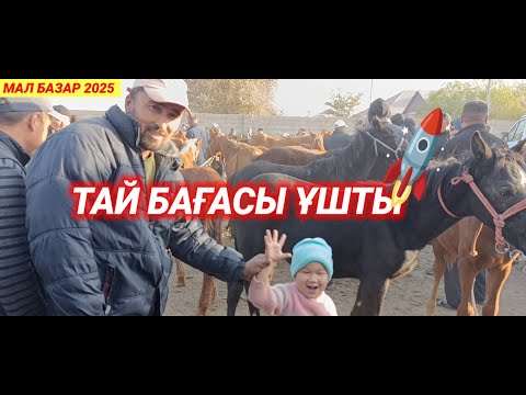 Видео: ЖҰМА МАЛ БАЗАРЫ | ЖЫЛҚЫ БАҒАСЫ | Мал базар 2025 | livestock market