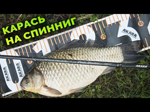 Видео: КАРАСЬ на СПИННИНГ /Отводной поводок на белую рыбу
