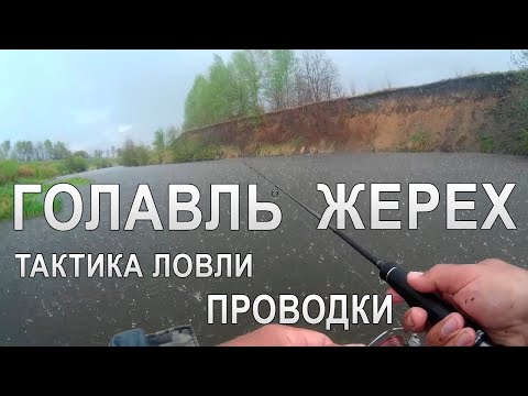 Видео: Рыбалка на ГОЛАВЛЯ и ЖЕРЕХА / ТАКТИКА ловли на спиннинг ПРОВОДКИ