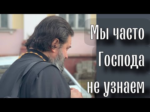 Видео: Лучше всего Господь узнаётся в Евхаристии. Отец Андрей Ткачёв