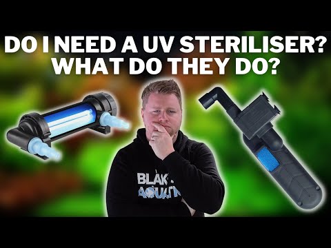 Видео: Нужен ли вам УФ-стерилизатор? Для чего нужен УФ-стерилизатор в пресноводном аквариуме?