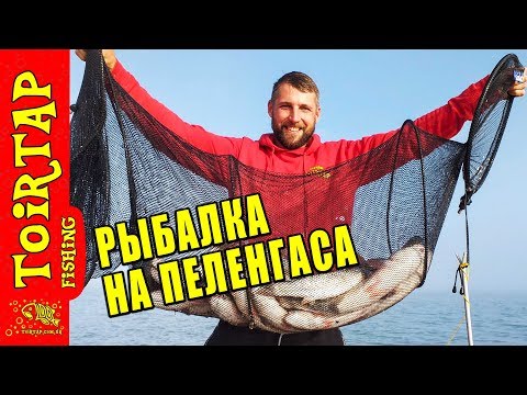 Видео: РЫБАЛКА НА ПЕЛЕНГАСА! ЛОВЛЯ ПЕЛЕНГАСА, КЕФАЛИ и ЛОБАНЯ ОСЕНЬЮ!!