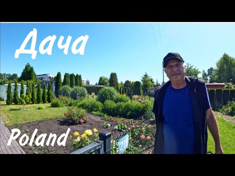 Видео: Что происходит на даче в течении недели.Польша.
