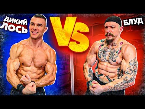 Видео: ВИКТОР БЛУД VS ДИКИЙ ЛОСЬ