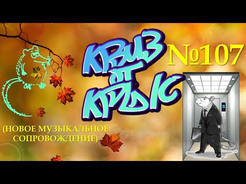 Видео: КВИЗ от КРЫС эпизод 107 (новое музыкальное сопровождение) случайно вторая копия