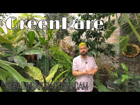 Видео: GreenRare - Школа фитодизайна || Редкие растения со всего света в Москве || Обзор пространства