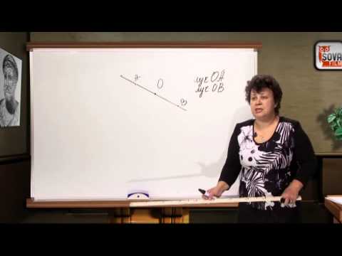 Видео: Плоскость. Прямая. Луч. Математика 5 класс. Часть 4