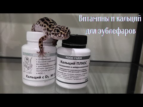 Видео: Эублефар | Питание | Витамины и кальций